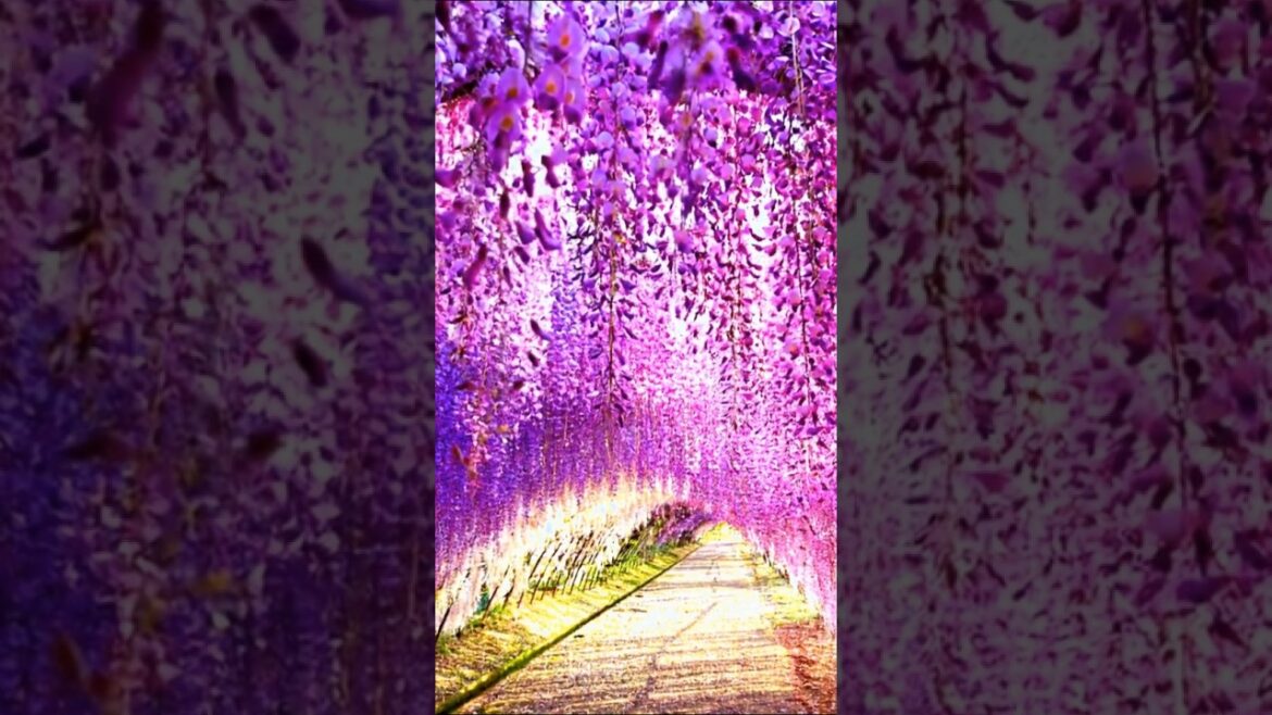 Places in Japan that Don't Feel Real - Part X #shortsviral