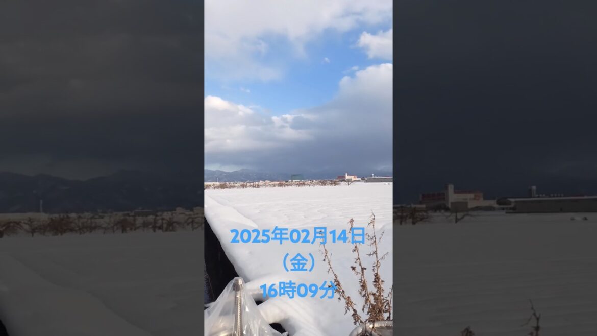 山形県寒河江市散歩にて撮影2025年02月14日（金）16時09分