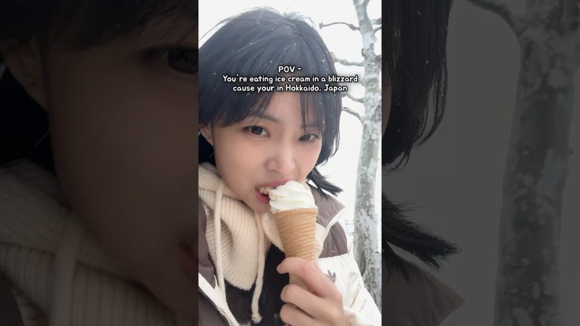 Ice cream is a must!! Hokkaido being famous for their dairy products🍦