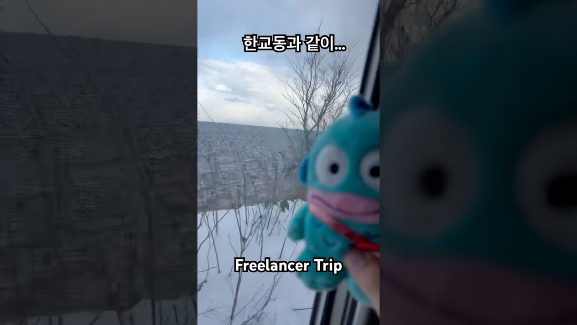 한교동과 같이... #한교동 #hangyodon #shorts