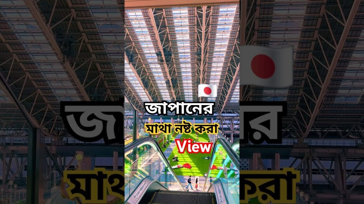 Most beautiful place in Japan #shortvideo #japan #shorts #trending #travel