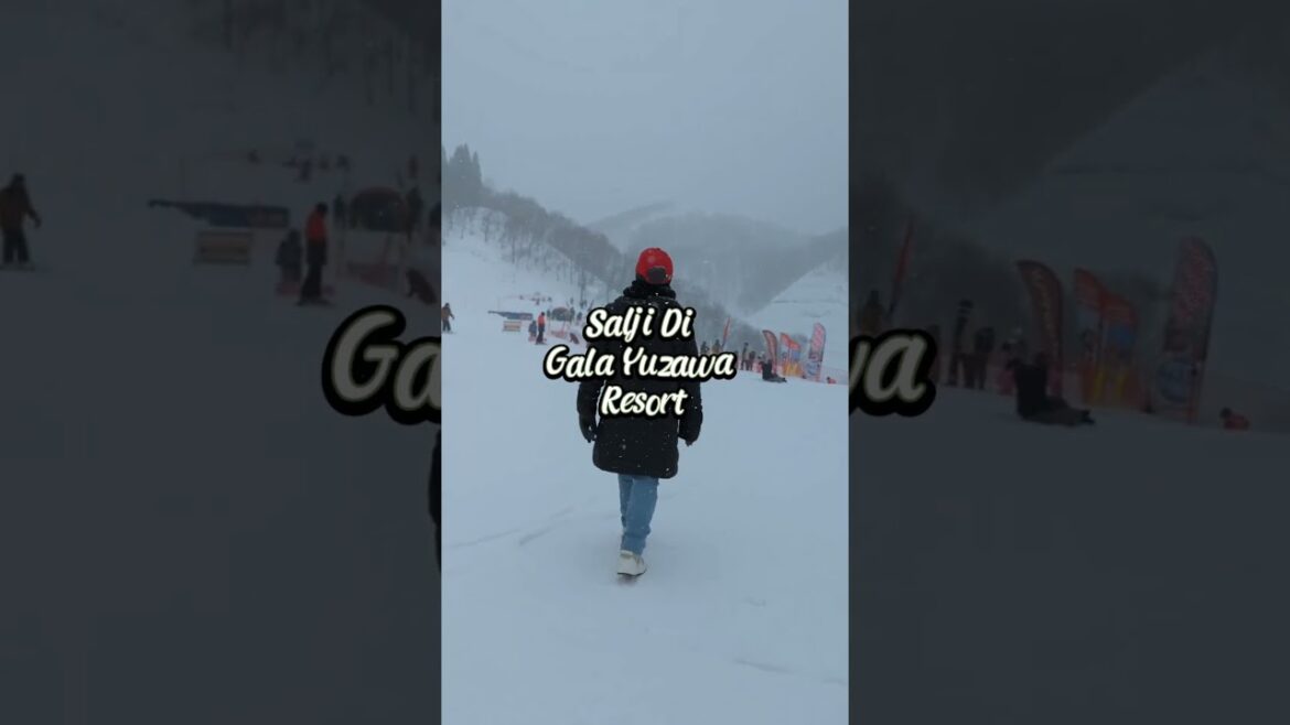 SALJI SEJUK Di Gala Yuzawa! #travel #japan #jepun #galayuzawa #niigata