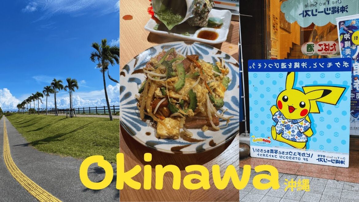Okinawa 2.0, Japan 沖縄 | 4 days in Naha, Kokusai-dori Street, Zamami Island & Okinawa-style Izakaya