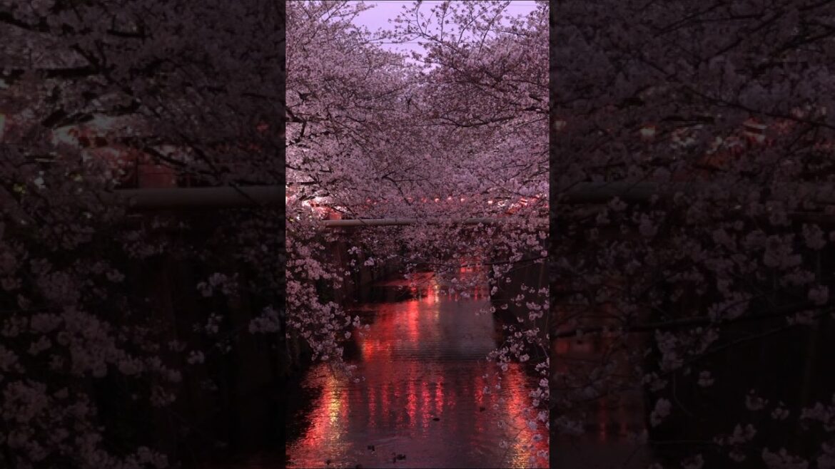 Places in Japan that Don't Feel Real - Part VI #viralshorts