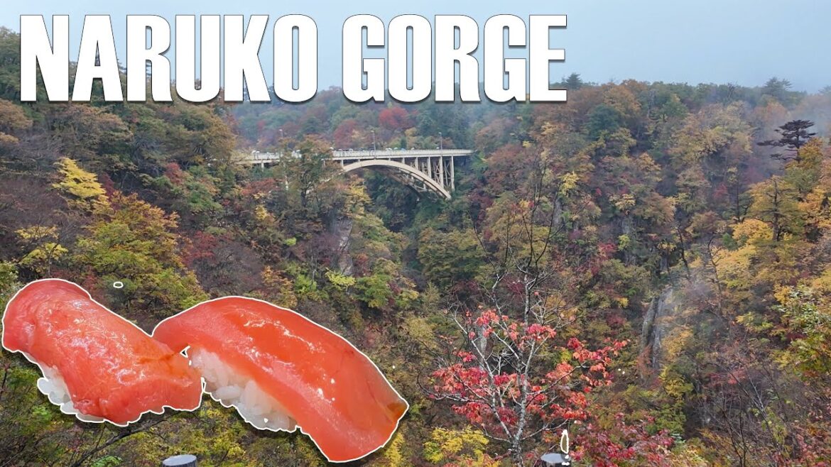 Exploring Naruko Gorge in Peak Autumn Colors 🍁 | Sendai Food & Travel Guide 🇯🇵