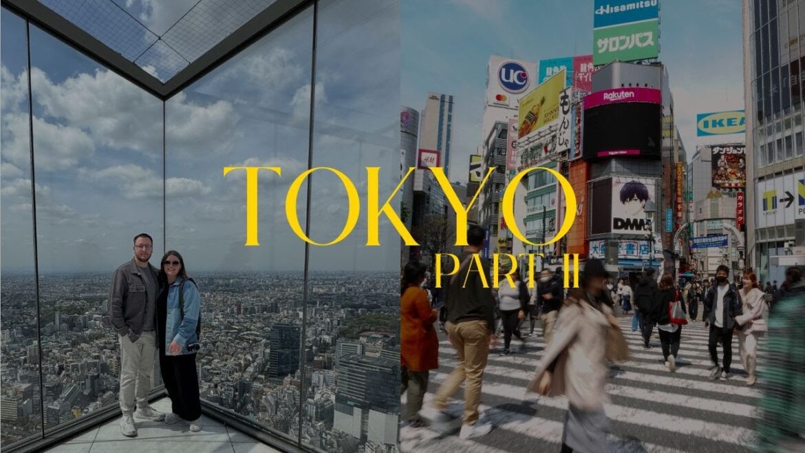 Japan Diaries | 6 days in Tokyo, Shibuya Crossing, DisneySea, Vintage Shopping, and more