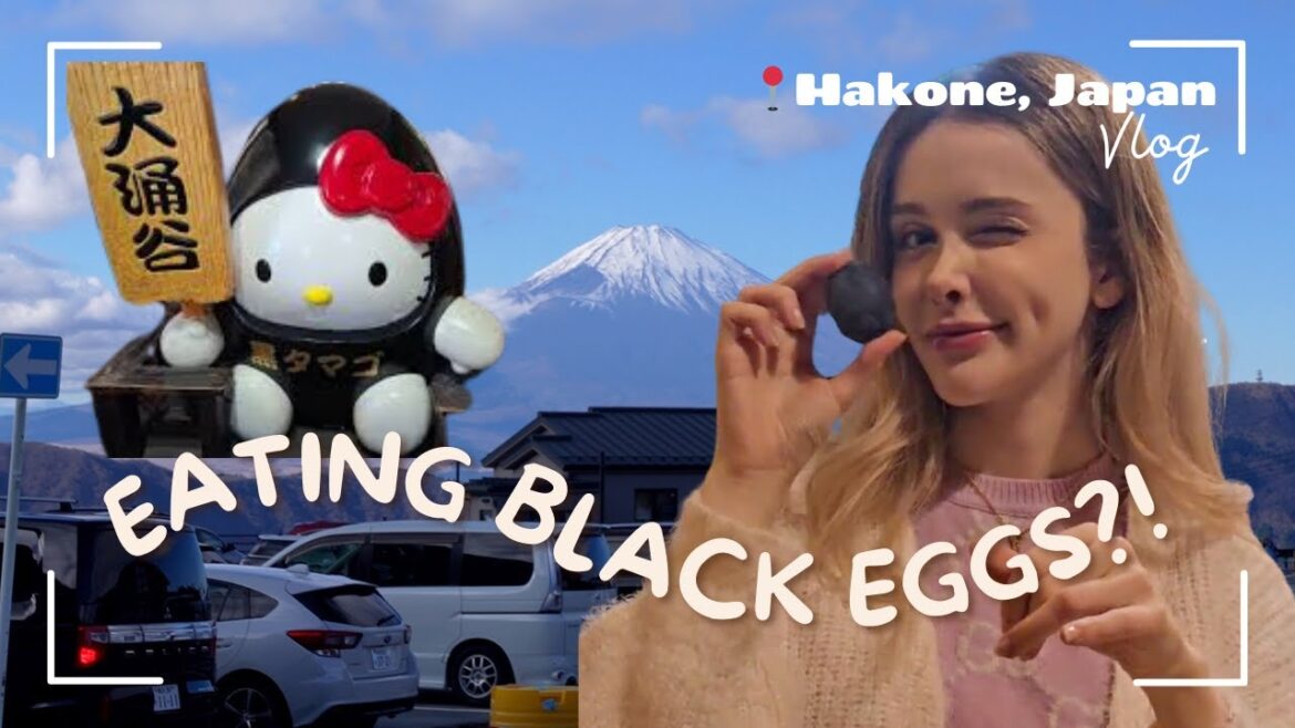 EATING BLACK EGGS?! 🥚 Let's Explore Hakone! Mt. Fuji, Owakudani - Hana's Japan Birthday Trip! Day 4