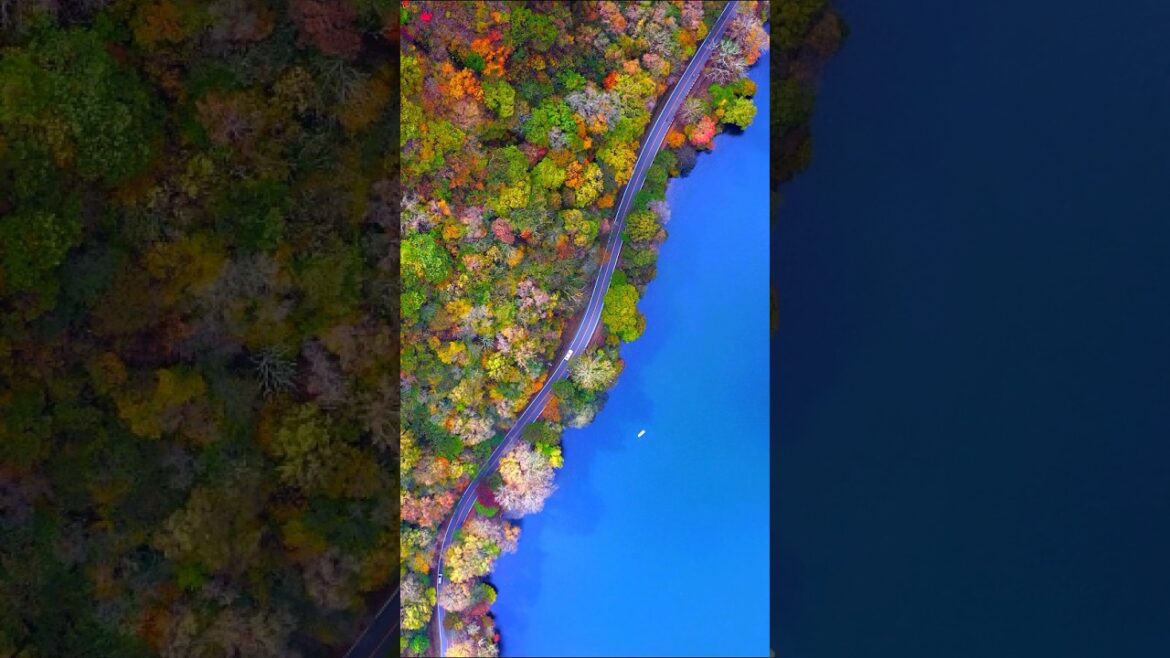 Places in Japan that Don't Feel Real - Part II #shortsfeed