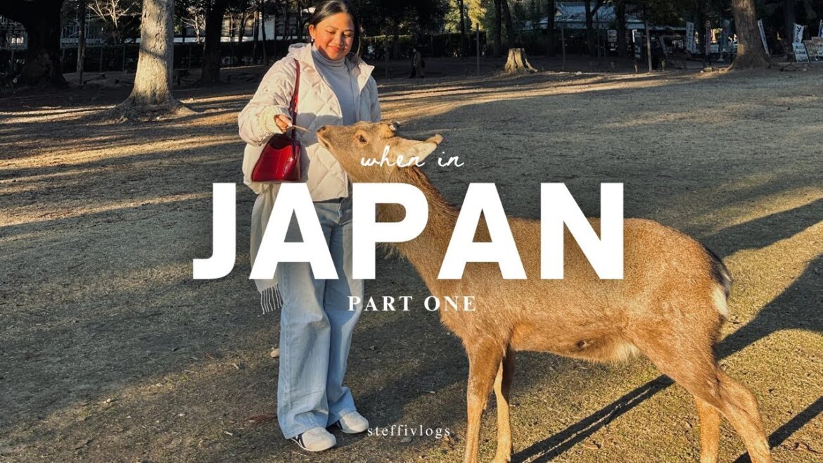 osaka, kobe, & nara japan in january | steffi ♡
