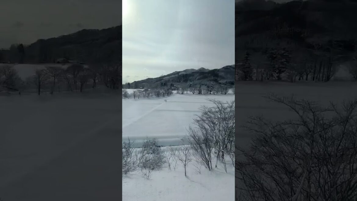 The Winter Wonderland of Japan #Sapporo #hokkaido #japan