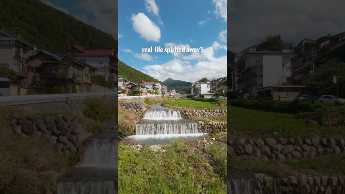 real-life spirited away? real-life spirited away?