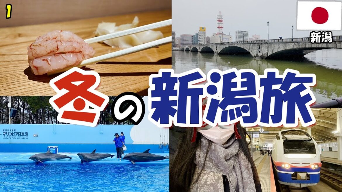 【新潟旅2024】ep1 冬の新潟を満喫してきた 【新潟旅2024】ep1 冬の新潟を満喫してきた