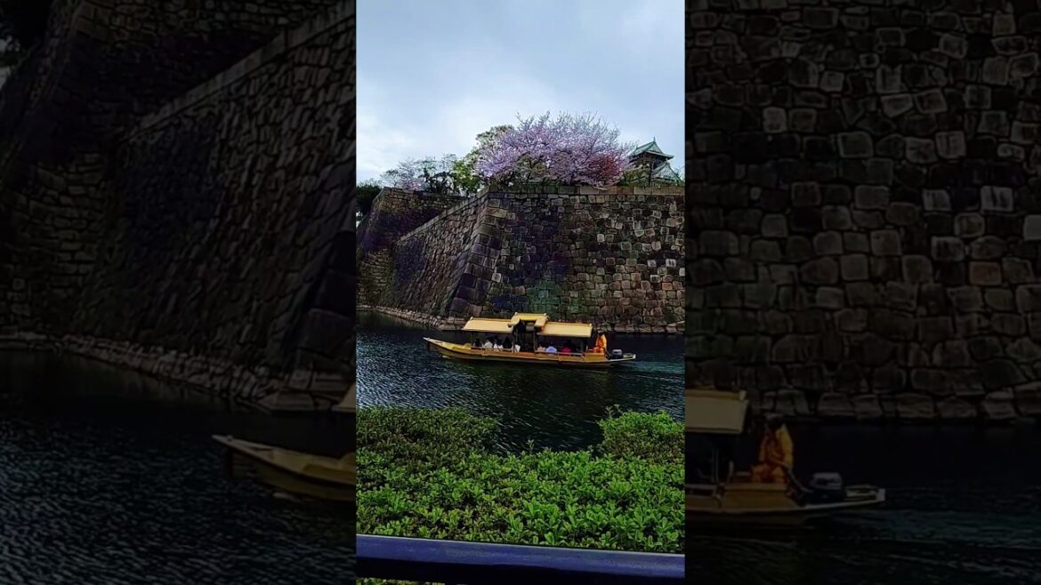 Golden Gozabune: Osaka’s VIP Boat Tour! 🌟 #japan #osaka #travel #traveljapan