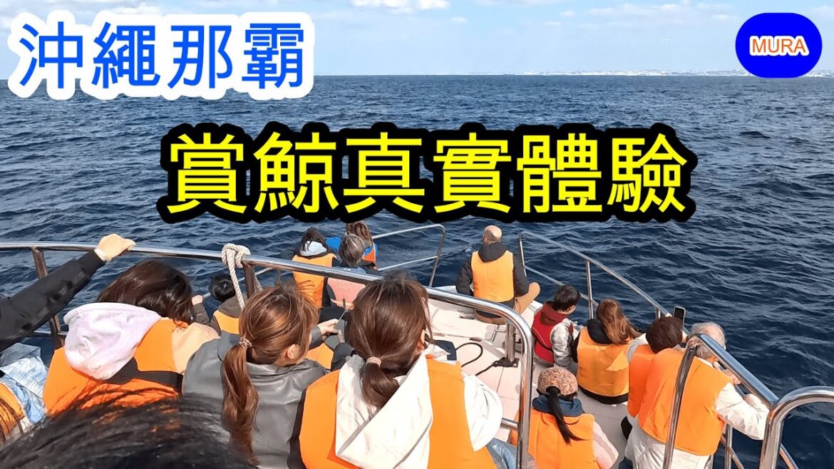 【沖繩 自由行 觀光景點】賞鯨真實體驗 /沖繩那霸出發初次體驗心得 【沖繩 自由行 觀光景點】賞鯨真實體驗 /沖繩那霸出發初次體驗心得