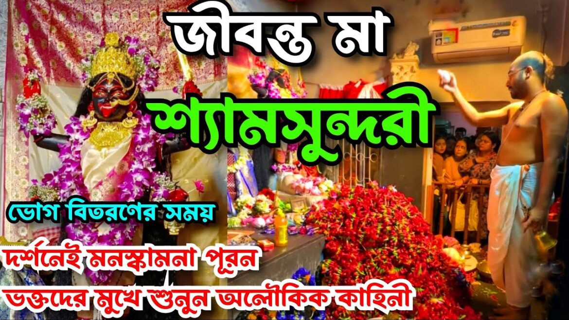 কলকাতার জীবন্ত মা শ্যামসুন্দরী | Maa Sham Sundori Temple Kolkata | Shamsundari Kali Mandir Kolkata