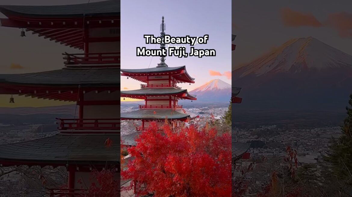 Must visit destination in Japan! The beautiful Mount Fuji area 🇯🇵 #mountfuji #japantravel