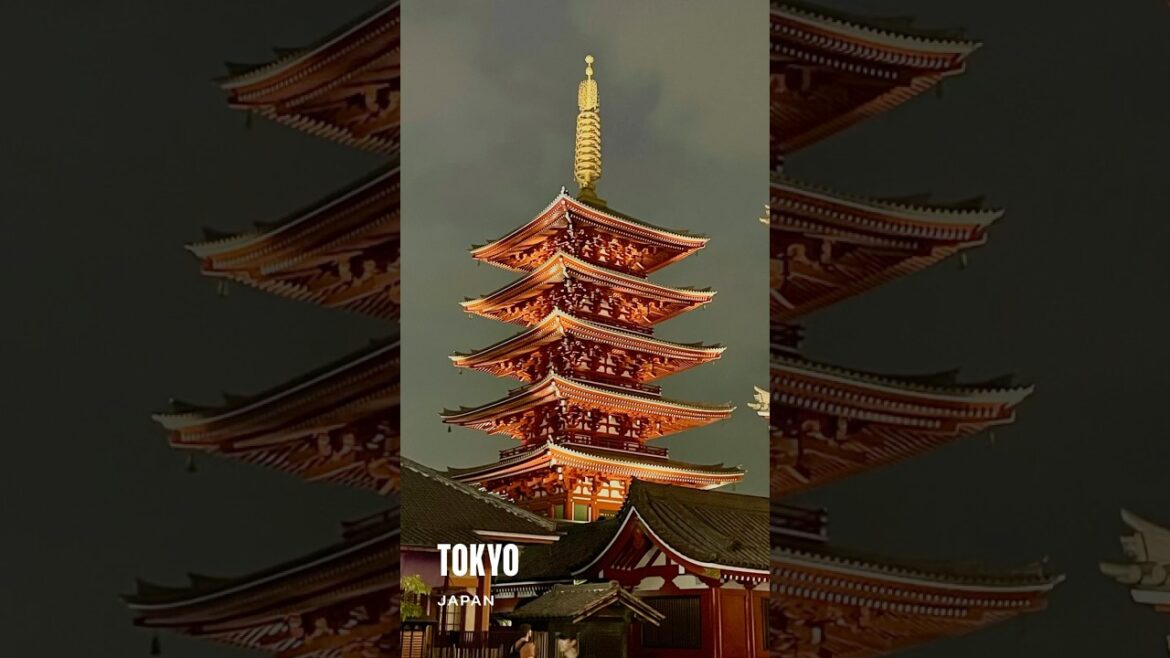 🇯🇵 72 hours in Tokyo in 60 seconds : Japan Travel Highlights