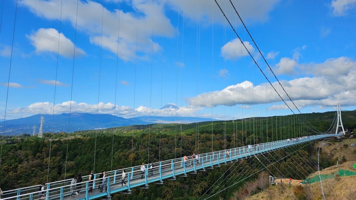 Mishima SkyWalk - 2024.11.17