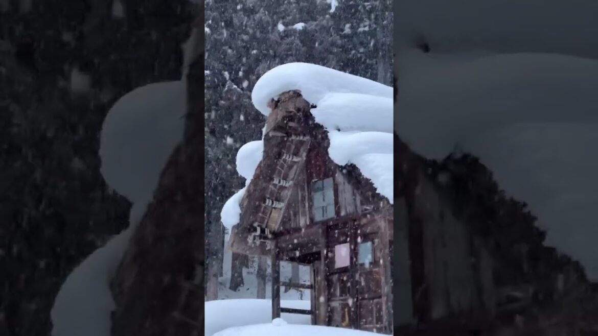 ❄️ Shirakawa-go: Gifu’s Stunning Winter Wonderland 🏘️ #japan #japantravel #shorts ❄️ Shirakawa-go: Gifu’s Stunning Winter Wonderland 🏘️ #japan #japantravel #shorts