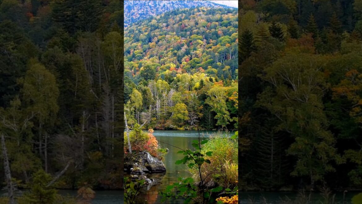 Places in Japan that Don’t Feel Real – Part VIII #shorts Places in Japan that Don't Feel Real - Part VIII #shorts