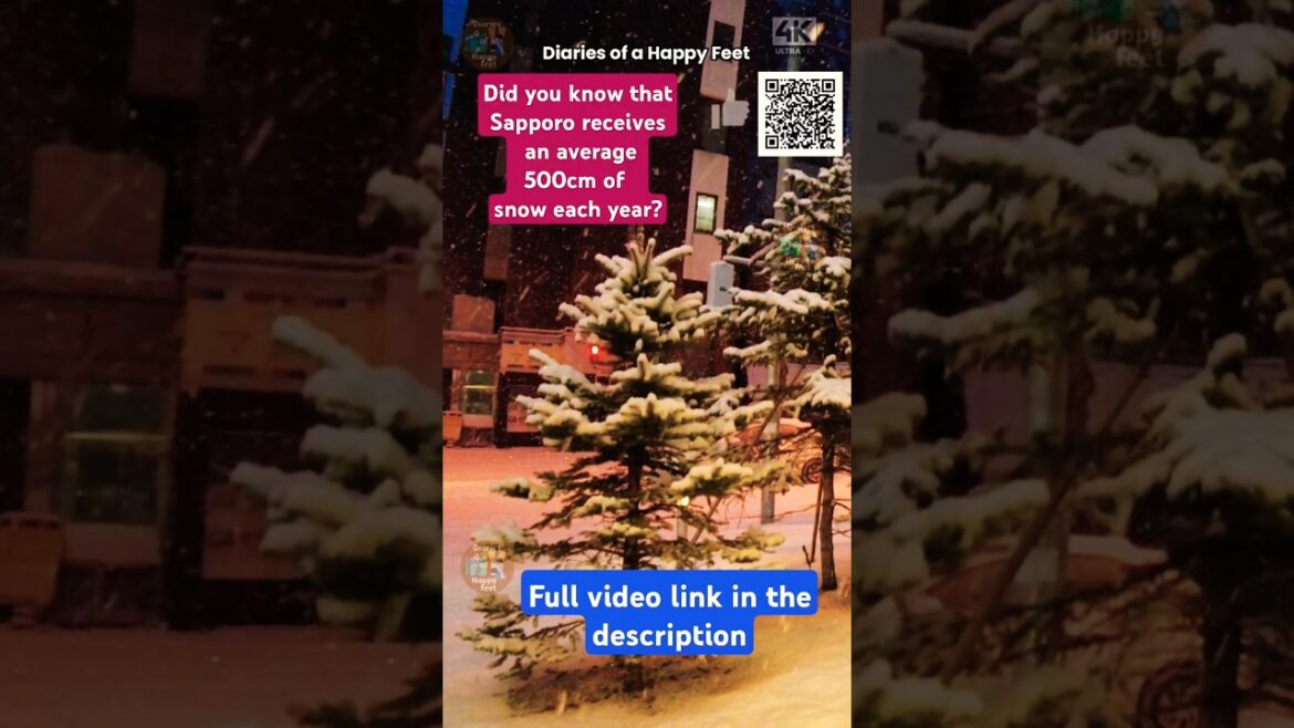 Did you know that Sapporo receives 500 cm of snow each year? #sapporo #snowfall #japantravel #winter