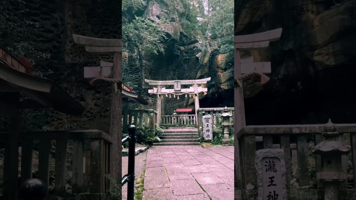Takiou Shrine (Wakayama)/ 瀧王神社 #travel #旅行 #visitjapan #観光 #japan #japantrip #japantravel
