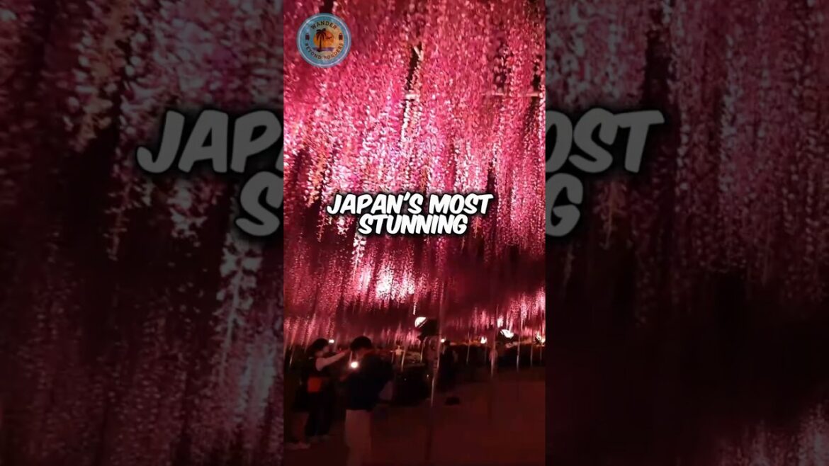 Hidden Gems in Japan – Must Visit Secret Spots Hidden Gems in Japan - Must Visit Secret Spots