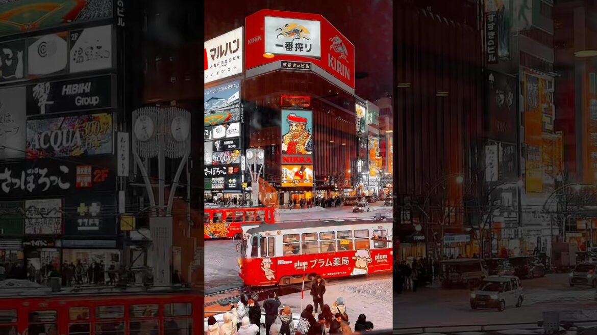 Susukino Winter Nights - Sapporo Hokkaido Japan ❄️ #sapporo #susukino #hokkaido #japan
