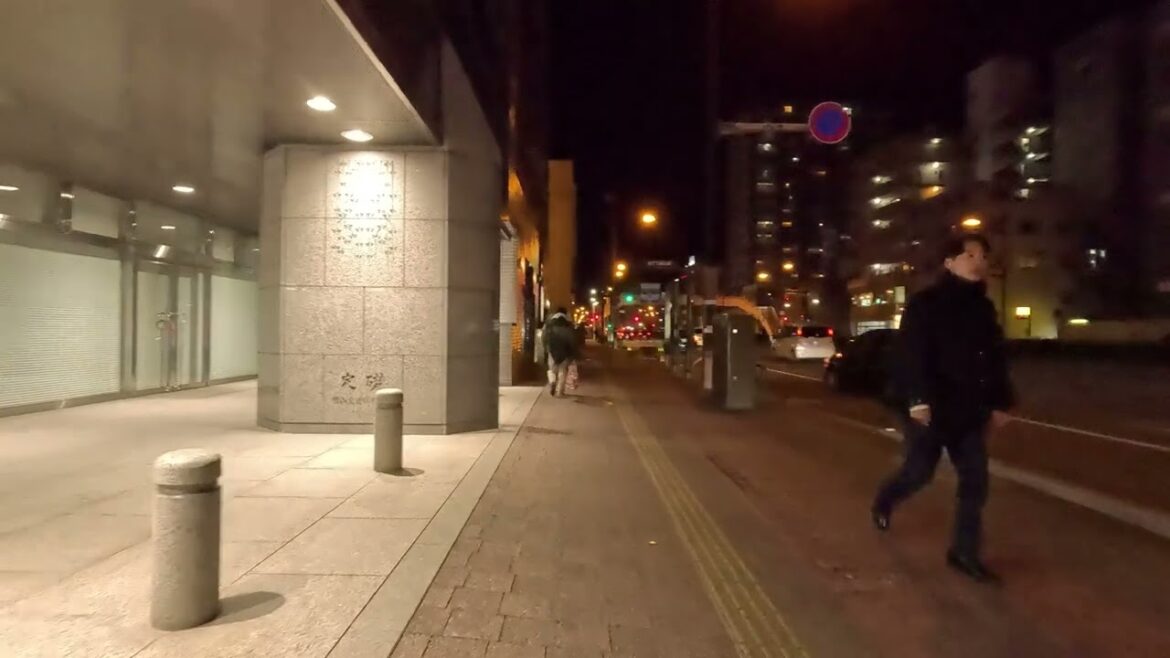 Okayama Walk Night 1