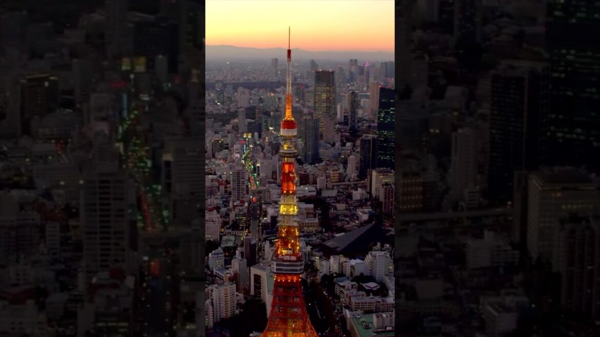 TOKYO TOWER - Japan #japantravel #explore #tokyo