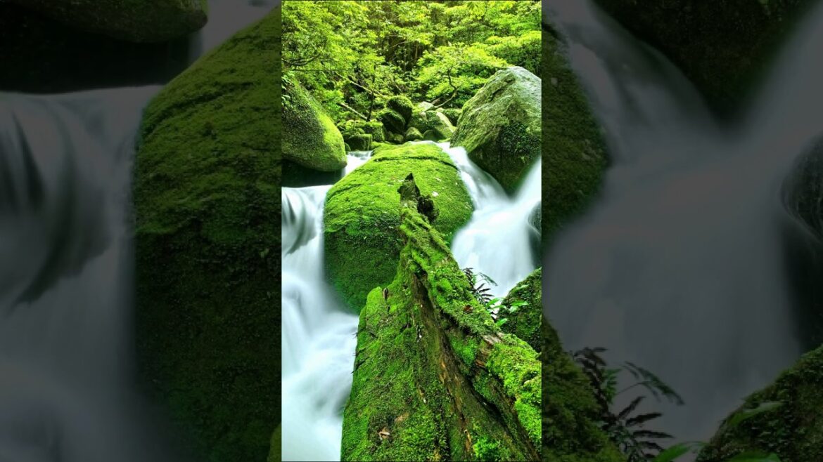 Places in Japan that Don’t Feel Real – Part IX #trending Places in Japan that Don't Feel Real - Part IX #trending