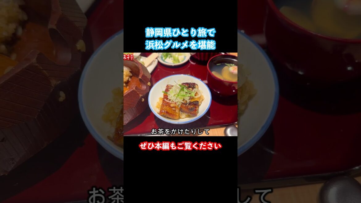 浜松観光で絶対食べるべきグルメ #静岡観光 #浜松観光 #ひとり旅