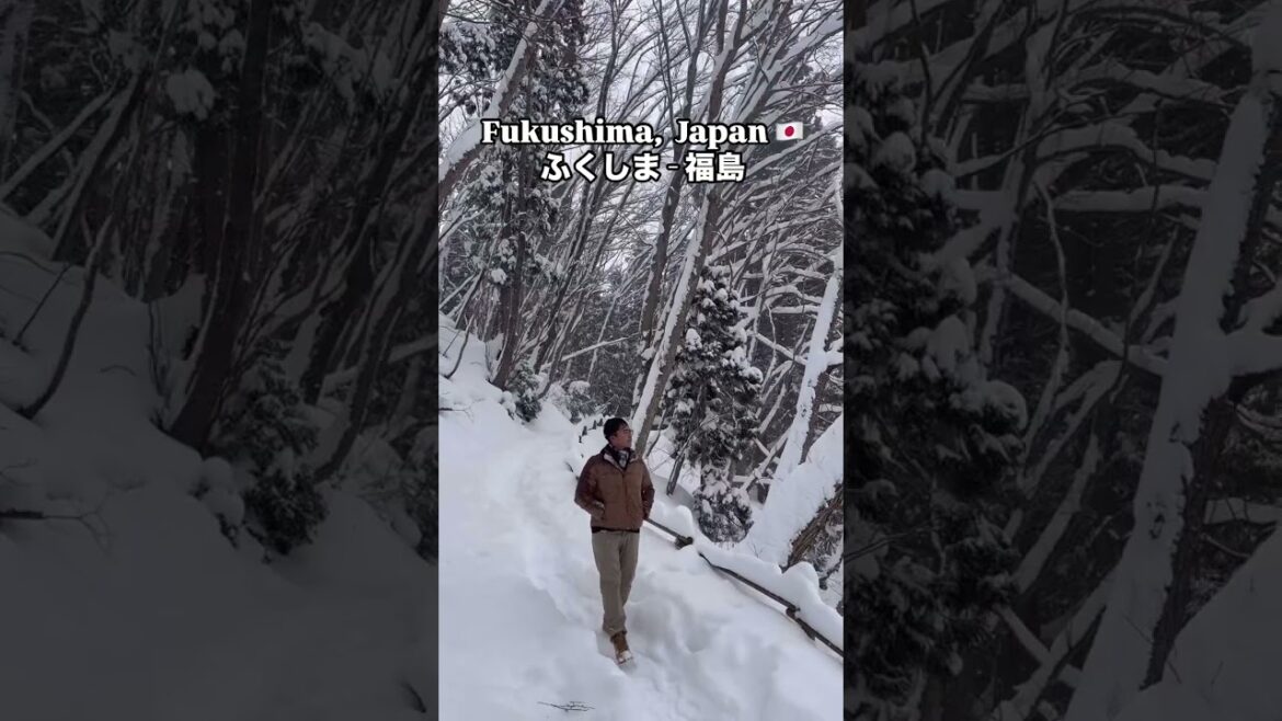 WINTER IN FUKUSHIMA
