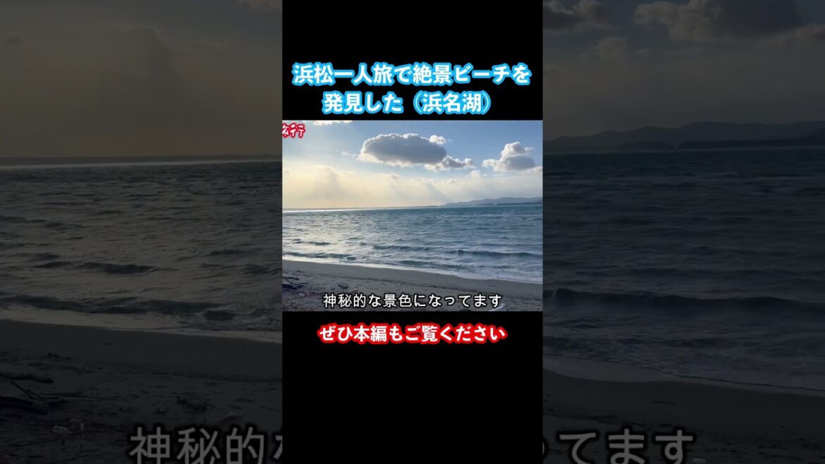 静岡県一人旅で浜松観光を楽しみました #静岡観光 #浜松観光 #ひとり旅