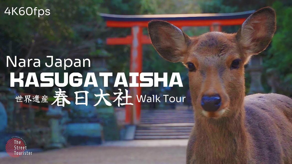 【奈良散歩】Nara Japan KASUGATAISHA Shrine 春日大社 Walk Tour [4KHDR]