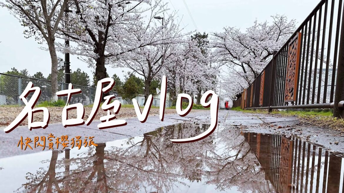[名古屋VLOG] 兩天一夜快閃賞櫻獨旅！不是在吃就是在看櫻花！