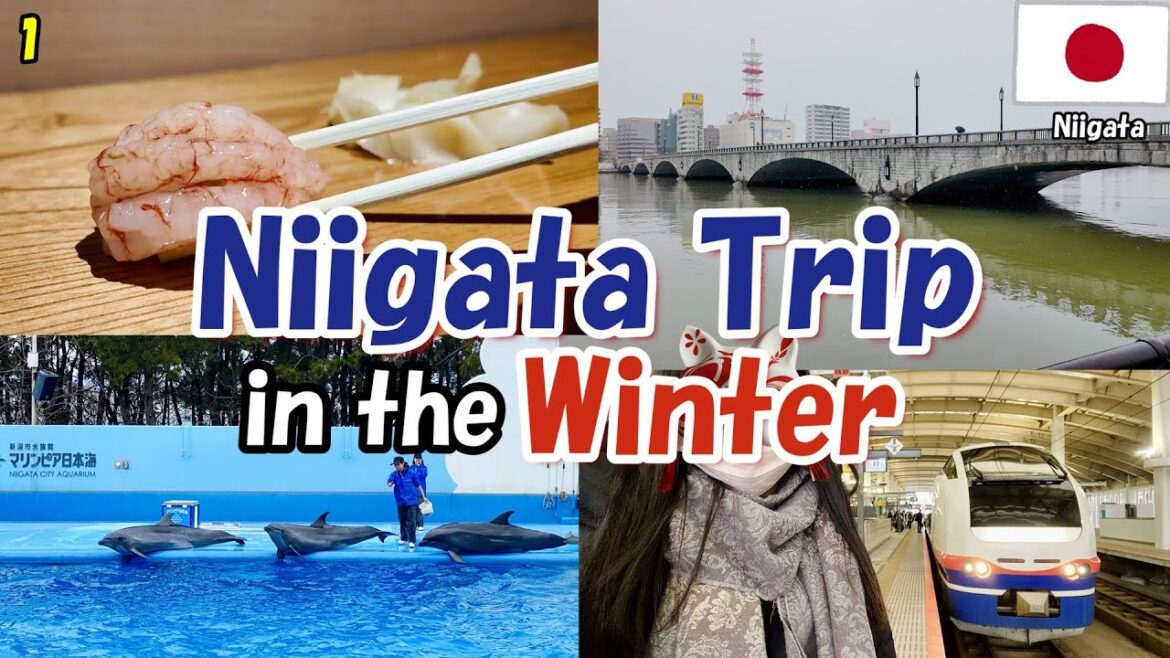 【新潟旅2024】ep1 I enjoyed Niigata in the winter.