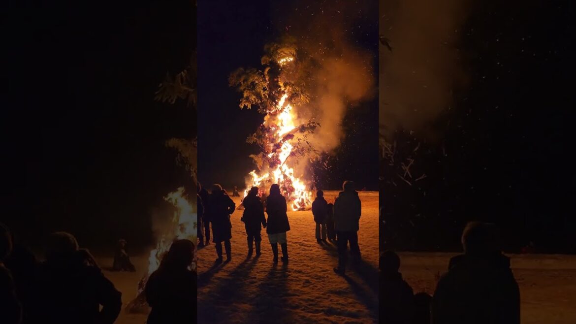 他に類をみない奇祭｢葛黒火まつりかまくら｣🔥｢おーい！かまくらのごんごろう！｣と御神木に向かって叫び、無病息災、五穀豊穣を願います。#奇祭#伝統#japan #akita #winter