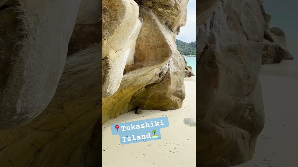 Beautiful Tokashiki island🏝️🚴 Explore the 🌸 road & Beautiful Aharen 🏖️✨  #japanjourney #vlogjapan