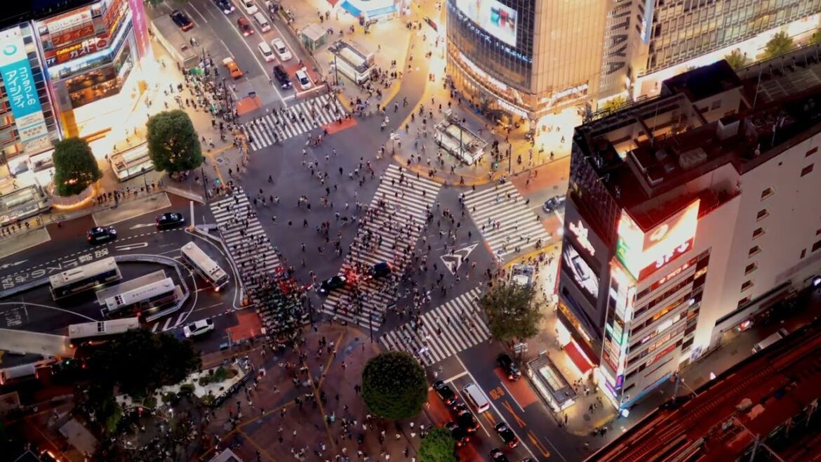 Japan's Top 5 Must-Visit Spots!