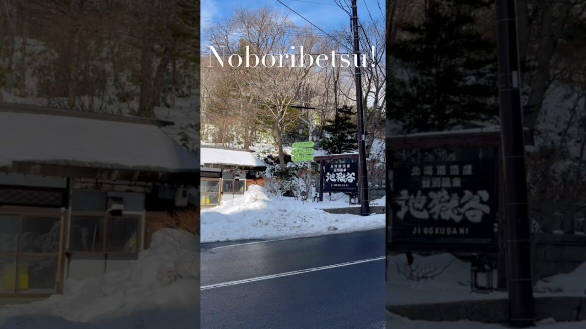 Snow, Steam, and Serenity: A Winter’s Escape from Hakodate to Noboribetsu Snow, Steam, and Serenity: A Winter’s Escape from Hakodate to Noboribetsu