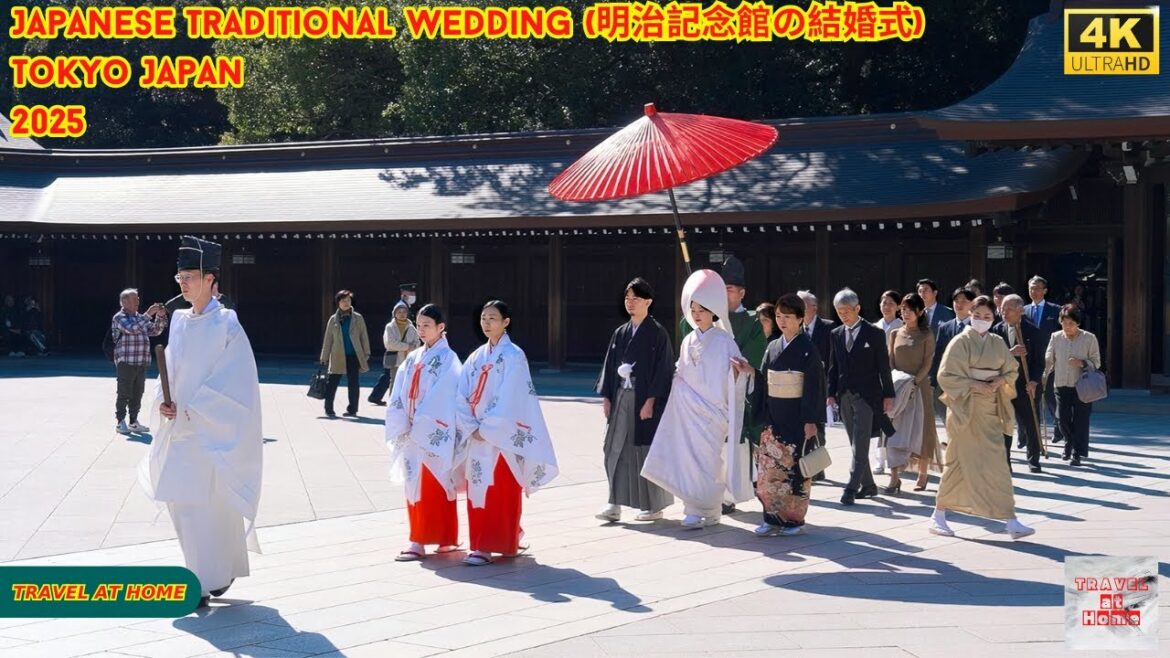4k hdr Japan travel 2025 | Japanese Traditional Wedding in Meiji Shrine(明治神宮) Tokyo Japan 4k hdr Japan travel 2025 | Japanese Traditional Wedding in Meiji Shrine(明治神宮) Tokyo Japan