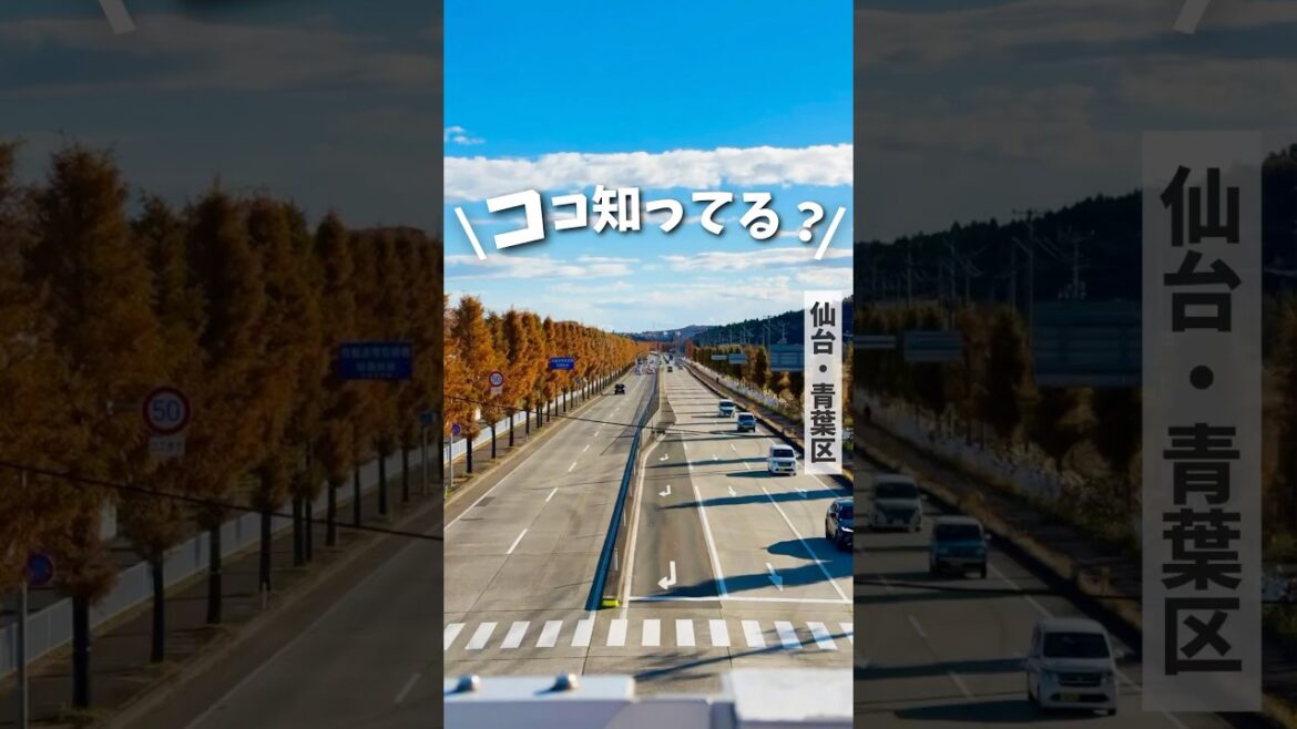 【仙台景色】「愛子」はなんて読むわかる？#仙台 #宮城 #仙台観光 #宮城観光 #仙台旅行 #宮城旅行 #愛子 #miyagi #sendai #japantravel #japan #shorts