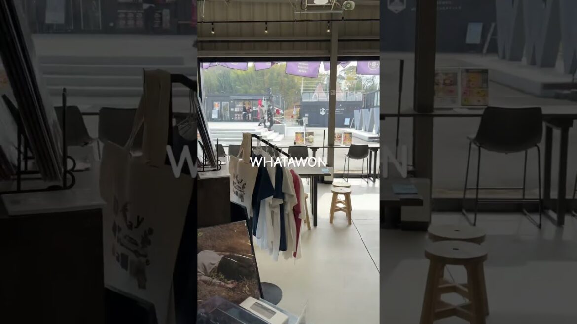 WHATAWON 2 #大阪 #観光 #子供 #猫 #日本 #2025 #旅行 #japan #shorts #short #shortvideo #travel #vlog #vlogs #일본 WHATAWON 2 #大阪 #観光 #子供 #猫 #日本 #2025 #旅行 #japan #shorts #short #shortvideo #travel #vlog #vlogs #일본