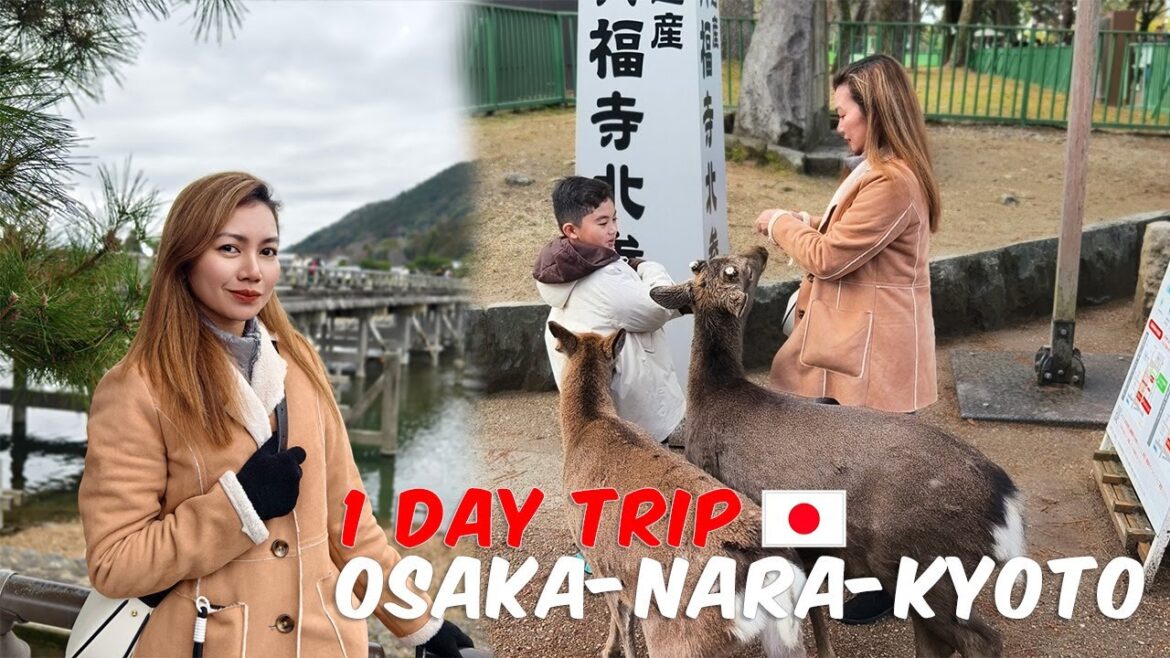 Osaka - Nara - Kyoto Trip
