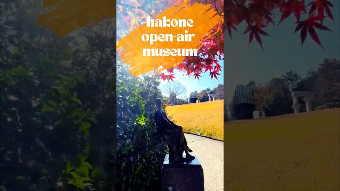 JAPAN MUST SEE | Hakone Open-Air Museum #design #art #architecture #reels #fyp #travel #japan
