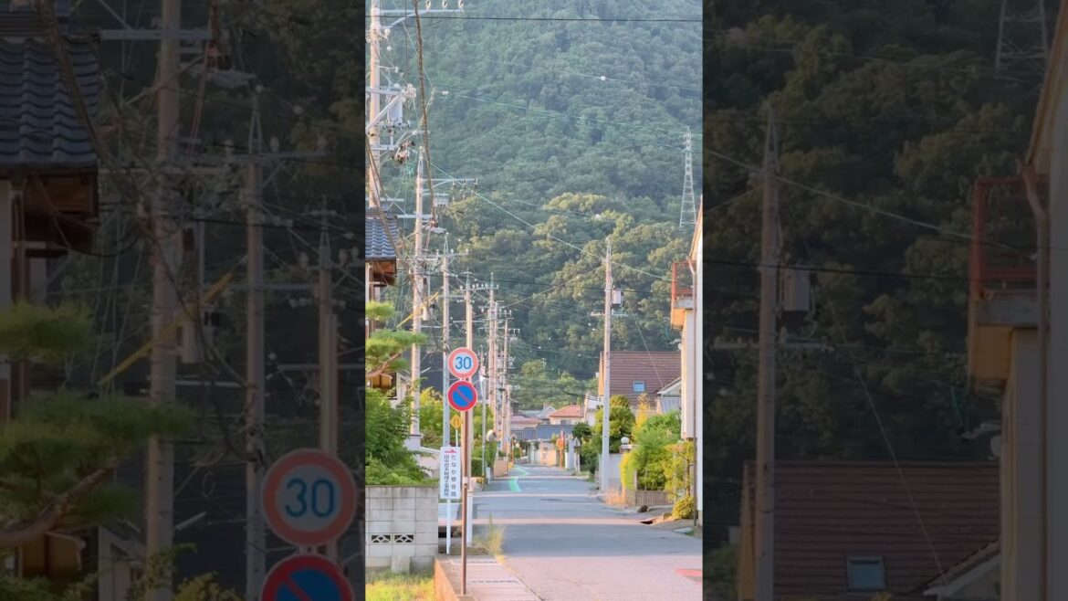 일본에 살다 보니 많이 걷게 된다 #nagano