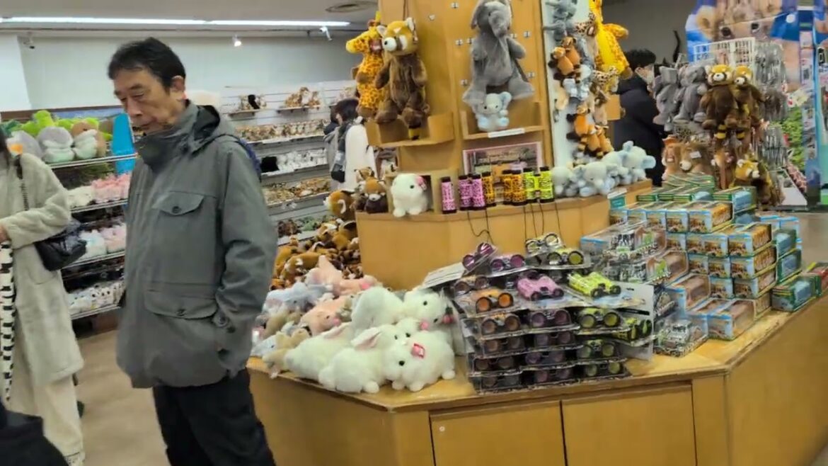 The World Famous Gift Shop at Fuji Safari Park in Shizuoka, Susono, Suyama, Japan