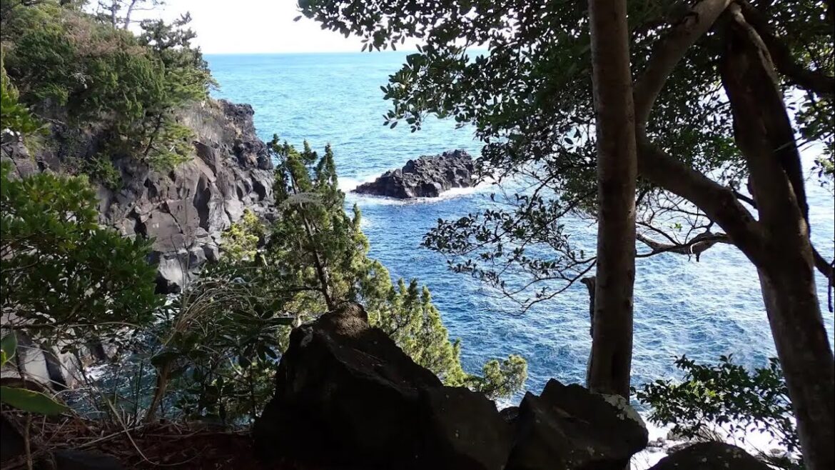 Odawara, Izu and Yugawara Japan Day Trip from Tokyo! [Backpacking Solo Series]