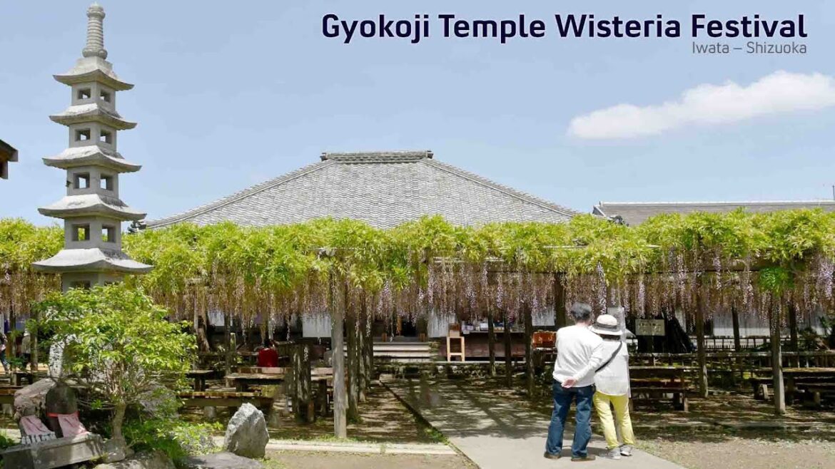 Gyokoji Temple Wisteria Festival
